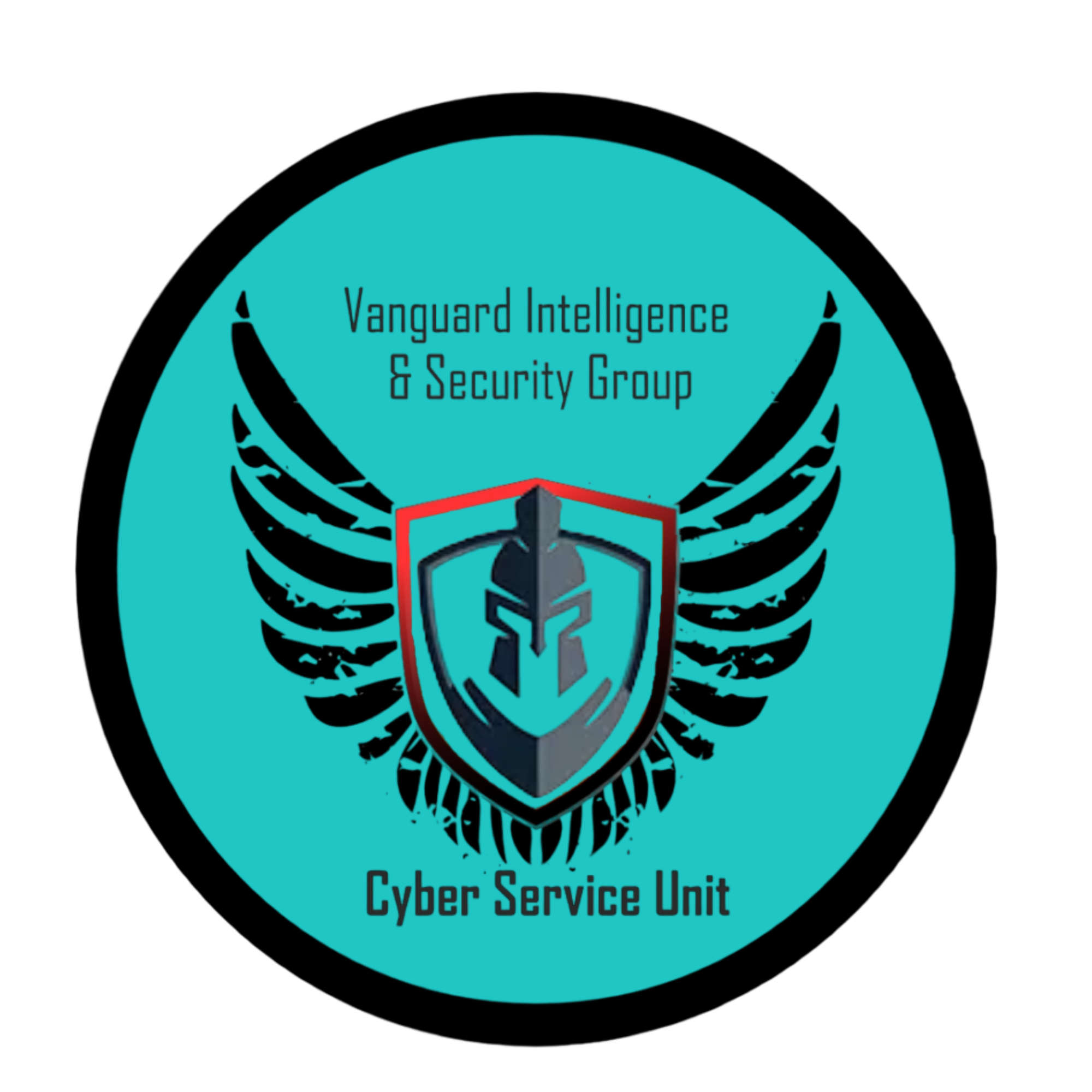 Home Vanguard Intelligence & Security Group